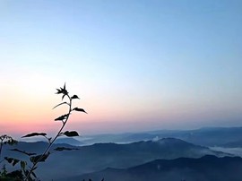 下五楼的快活主播照片