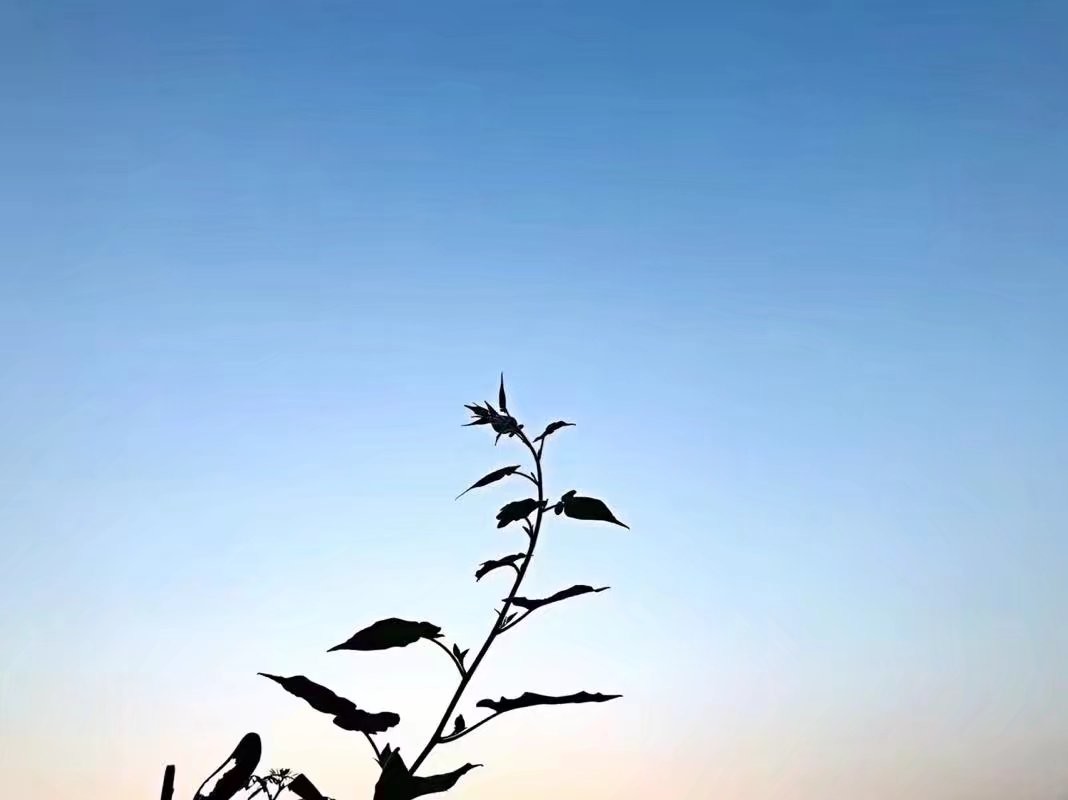 下五楼的快活主播照片