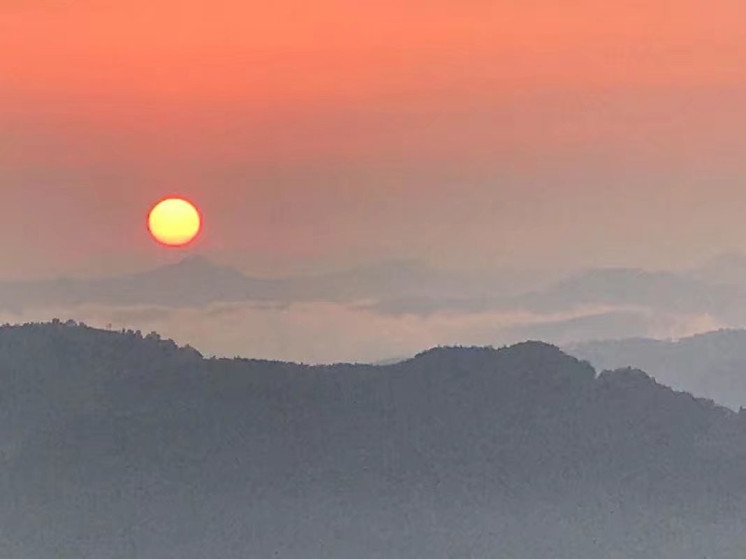 下五楼的快活主播照片