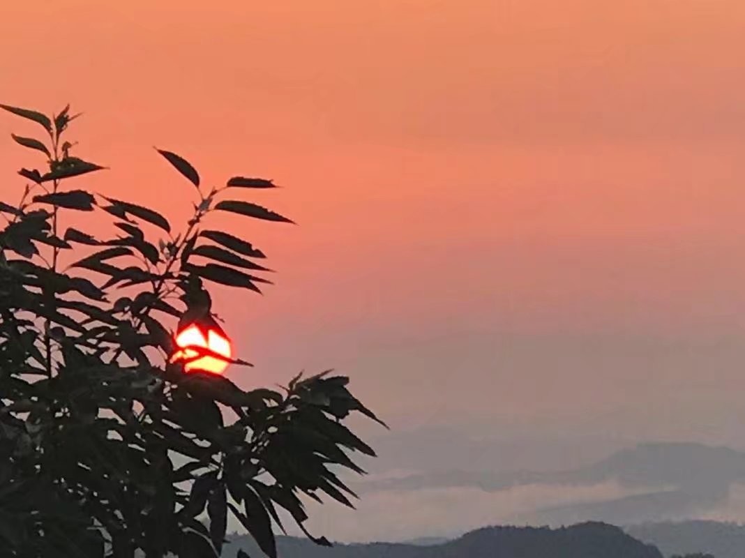 下五楼的快活主播照片