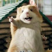 怡妹吖