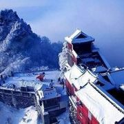 ～太极武当～海报