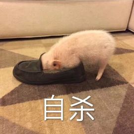 霍霍baby主播照片