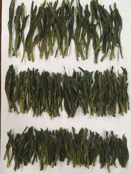 茶茶今晚休明天见主播照片