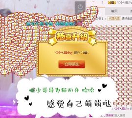 ❤猫咪❤落幕🍂❤主播照片