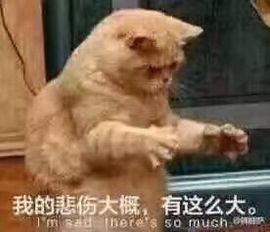 广善★彡婷妹主播照片