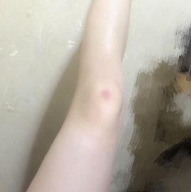 明日的太阳🌞主播照片