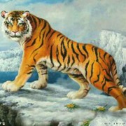 你别7负5海报