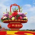 飞身上马看世界