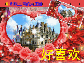 架子鼓酒妹主播照片