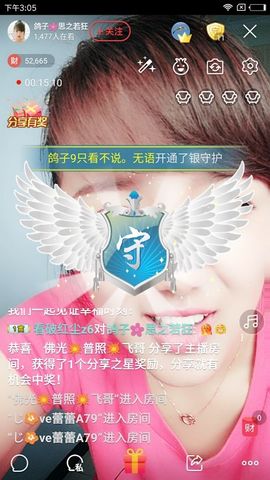 海鸽晚上播主播照片