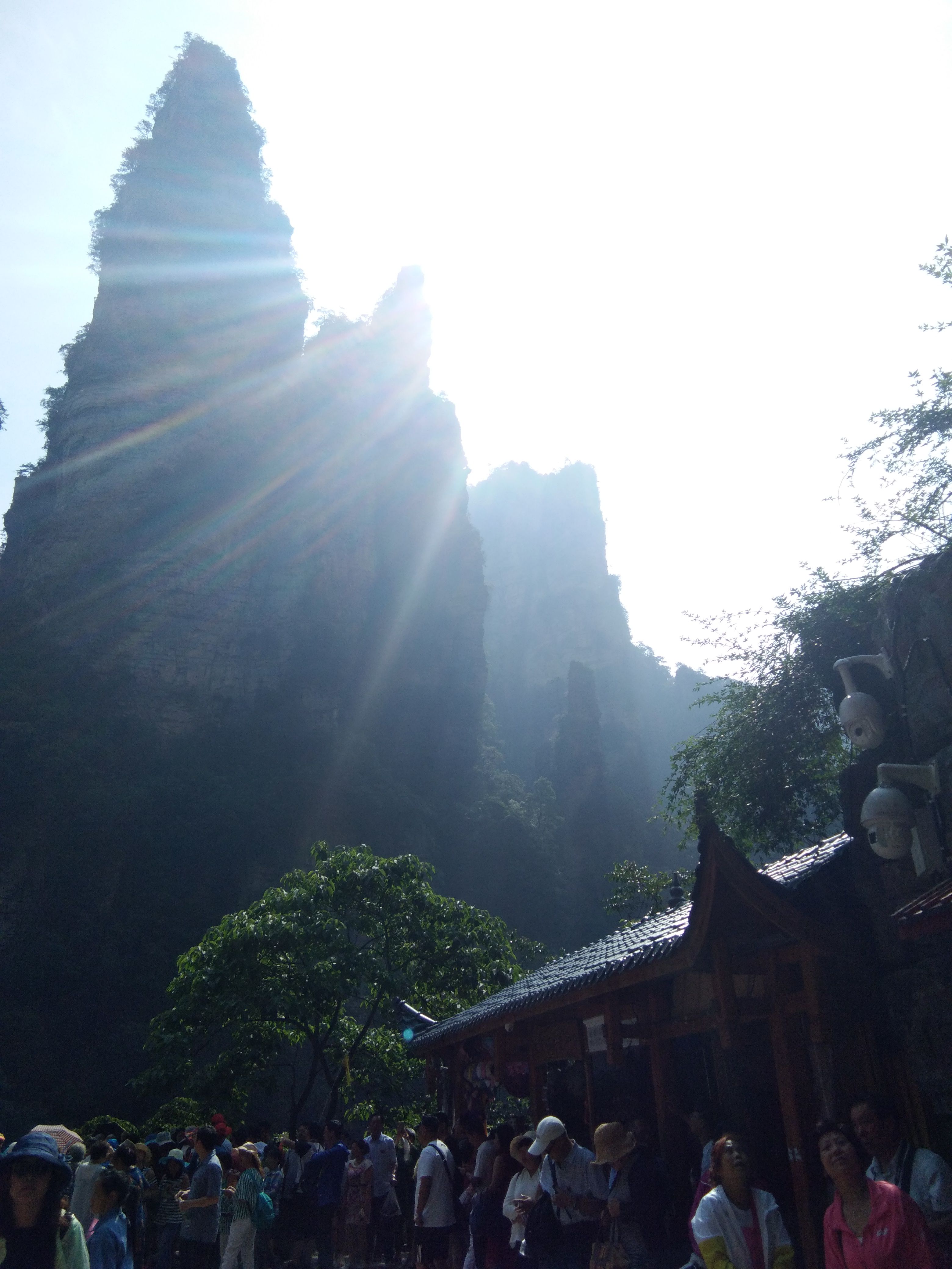 🎶幸福满满🎶的图片