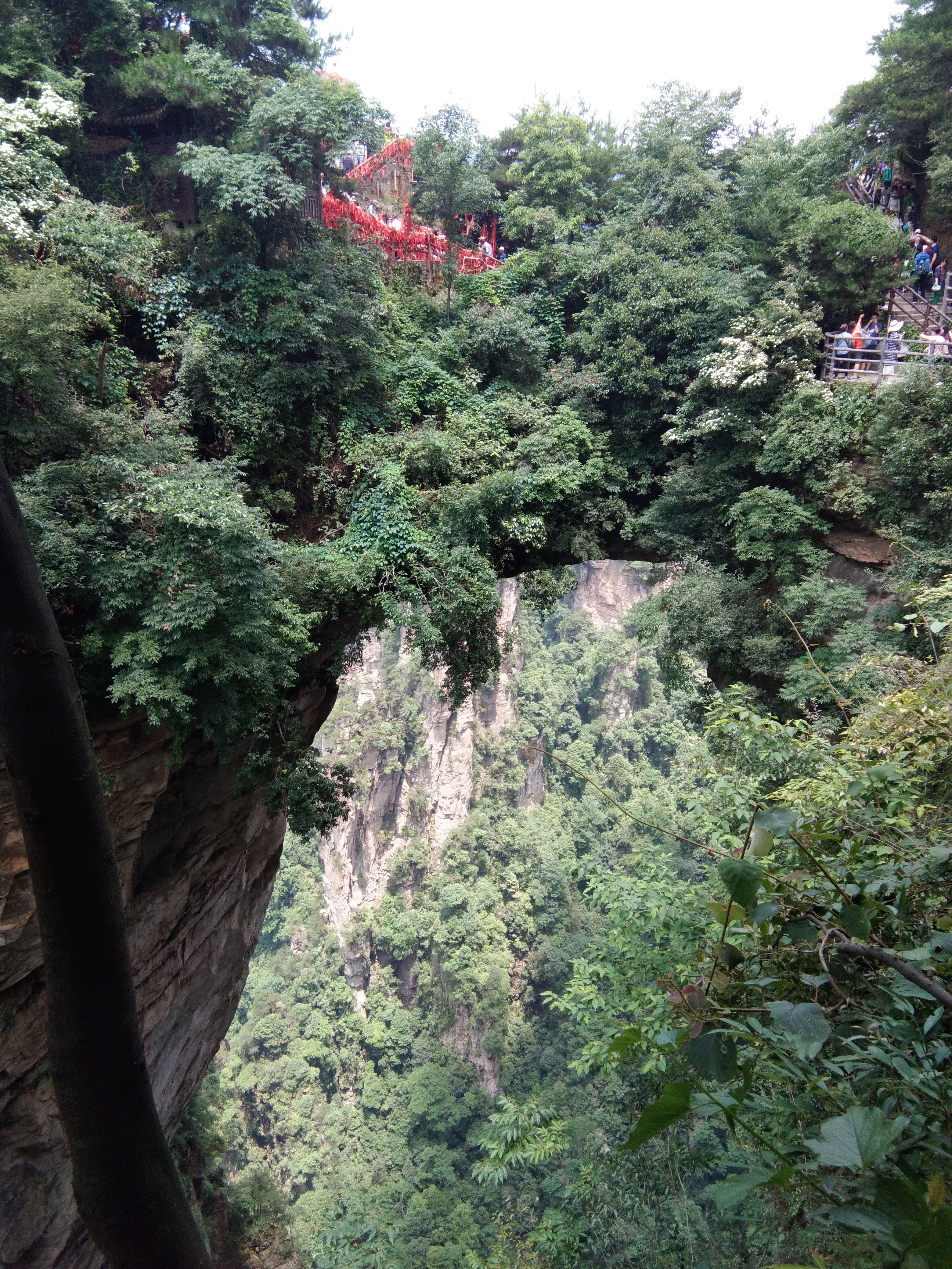 🎶幸福满满🎶的图片