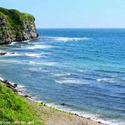 海蛙e海报