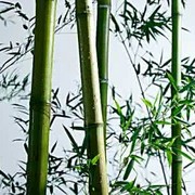 昵称违规，请重新修改
