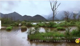 朝天路主播照片