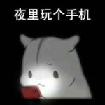 情书哥哥的小忧伤
