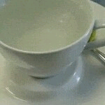 白の胖ღ主播照片