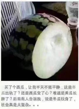 大璐璐☔主播照片