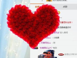 叮叮的最后一天直播主播照片
