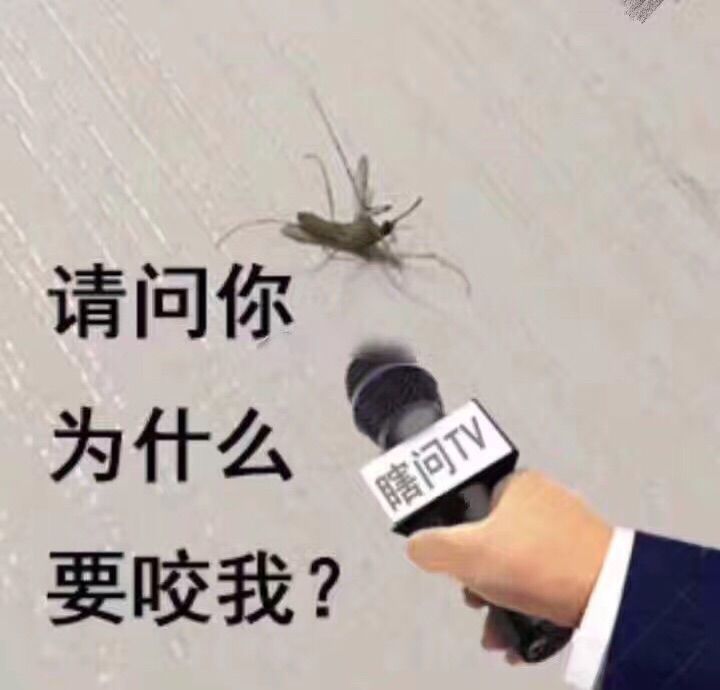 言喻！的主播照片