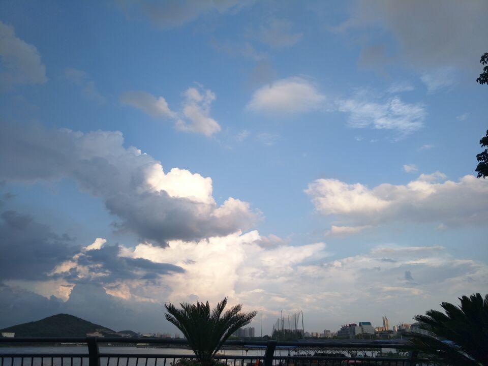 ?﹏菓寶゜微光向暖?的主播照片