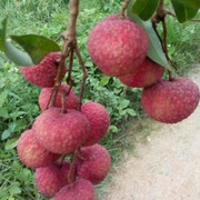邝伟3