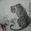 一龙k