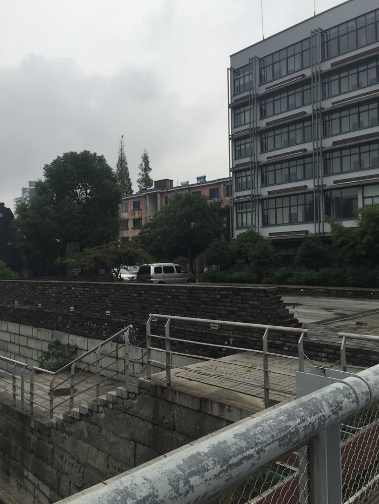 淡淡虎.的主播照片