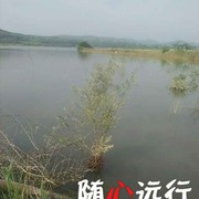 青山绿水8m