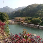 深圳大宝海报