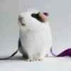 沉默不是你