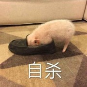 亚瑟王的老师