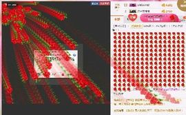 海鸽晚上播主播照片