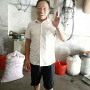 禾生g的头像