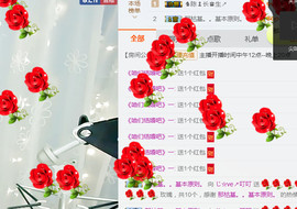 叮叮的最后一天直播主播照片