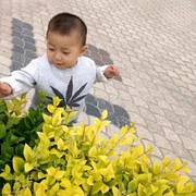 雪缘bh