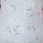 🐬不听话的苹果宝宝