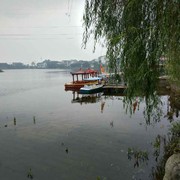 尘潇烟雨海报