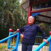 张y8