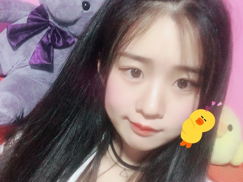 🍒小燕子就是我～海报