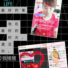 海鸽晚上播主播照片