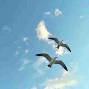 沉默海报