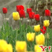 快乐一生z6n