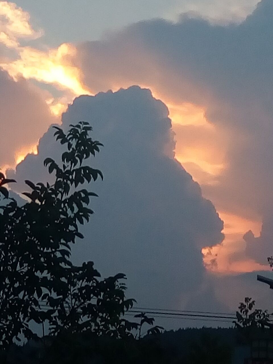 黄瓜茄子玉米萝卜冬瓜的主播照片