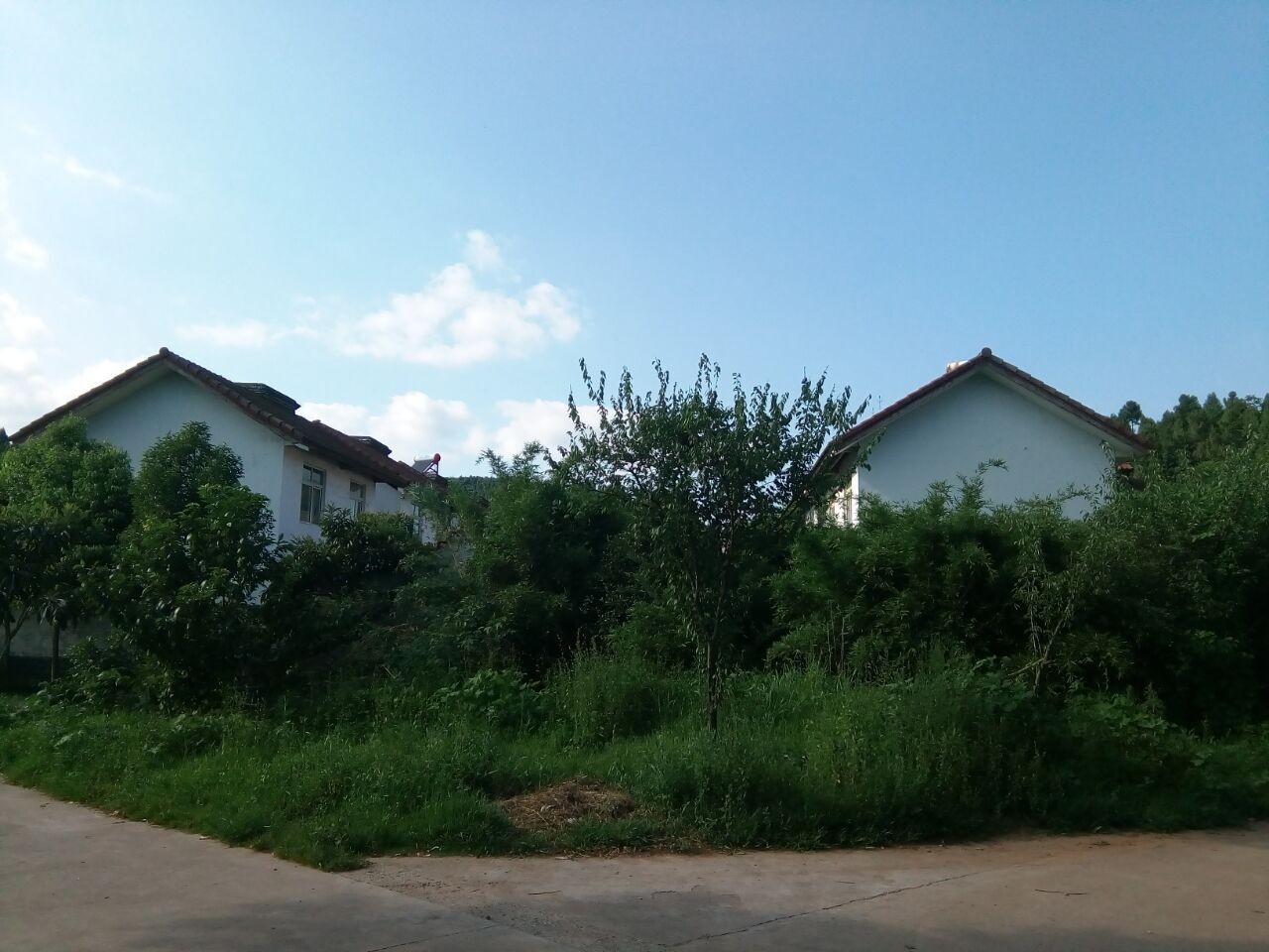 黄瓜茄子玉米萝卜冬瓜的主播照片