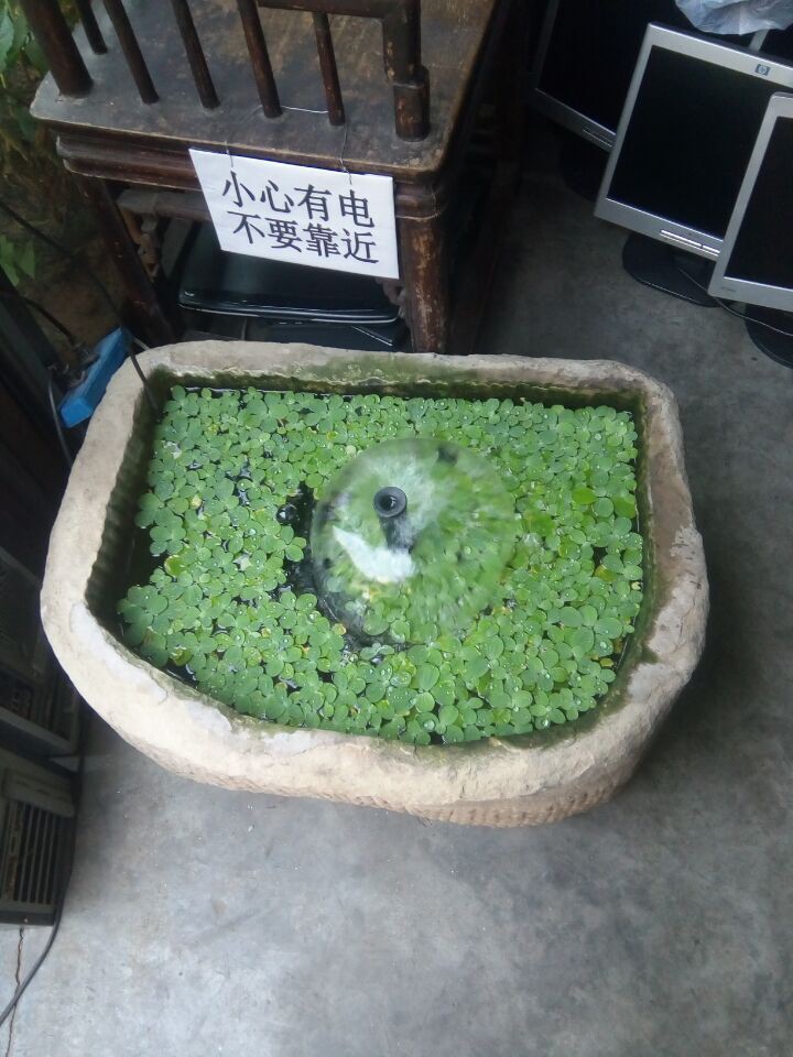 黄瓜茄子玉米萝卜冬瓜的主播照片