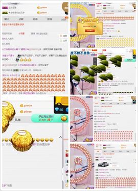 小艺停播主播照片