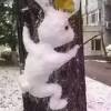 相信自己cx