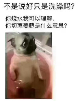 迷路d小鹿主播照片